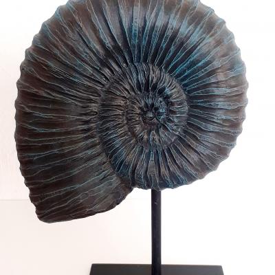  Ammonite